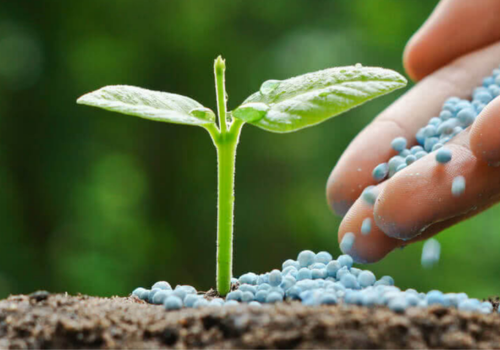 Fertilizer industries